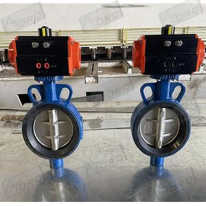 Butterfy Valve with pneumatic rotary actuator