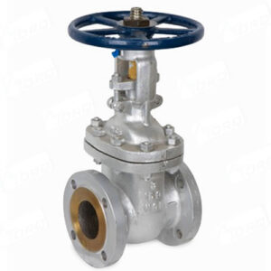 Gate Valve